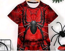 Boys T Shirt and Shorts Set Size 9-10y Spider...
