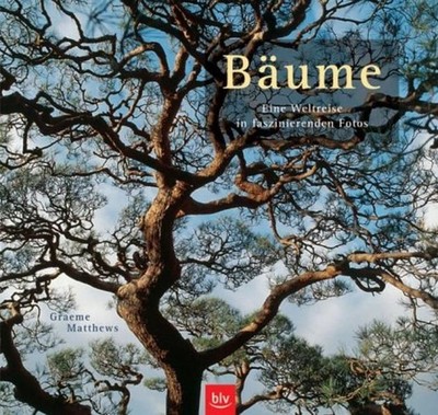 Matthews Graeme und David Bellamy - Bäume: Eine Weltreise in faszinierenden Foto