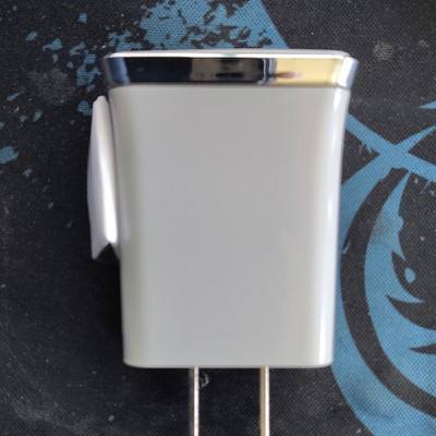 WirelessGear Dual USB Charger Adapter - White/Silver Glossy, 5V, BLA3808