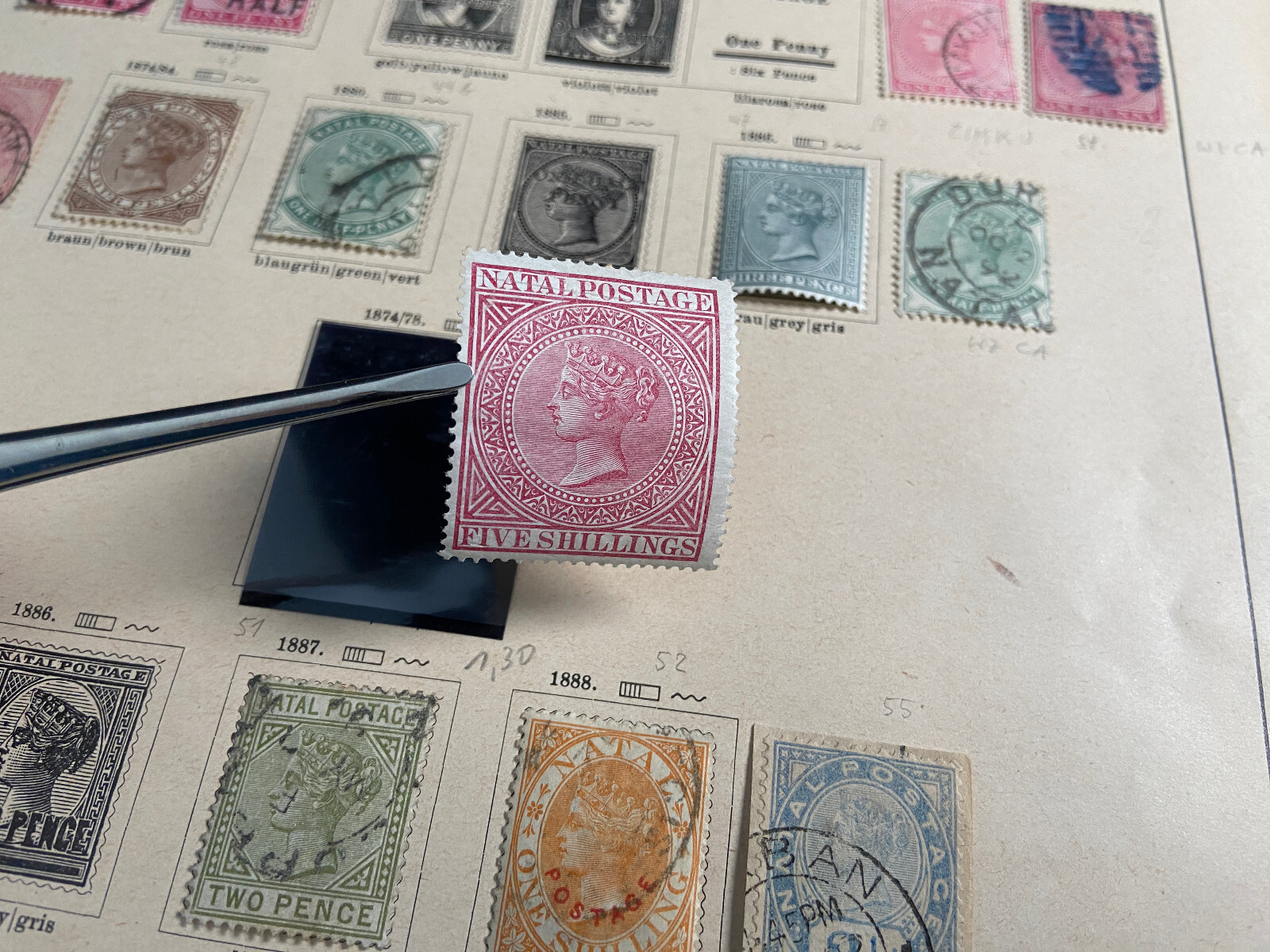 Natal Briefmarken Sammlung, SEHR GUT, Natal stamp collection,VERY GOOD
