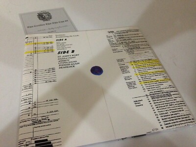 Institute Readjusting the Locks GRAY VINYL LP & MP3! Sacred Bones Record Society