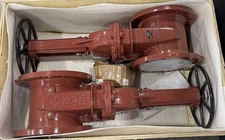 Lansdale 700-250-00220 10" Flanged OS&Y Resilient Seated Gate Valve Lot of 2 New