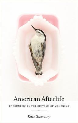 American Afterlife: Encounters in the Customs of Mourning - Sweeney, Kate