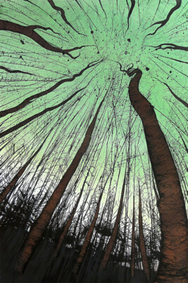 Rainforest Amazon Trees Upwards Sky View Art Home Decor - POSTER 20x30