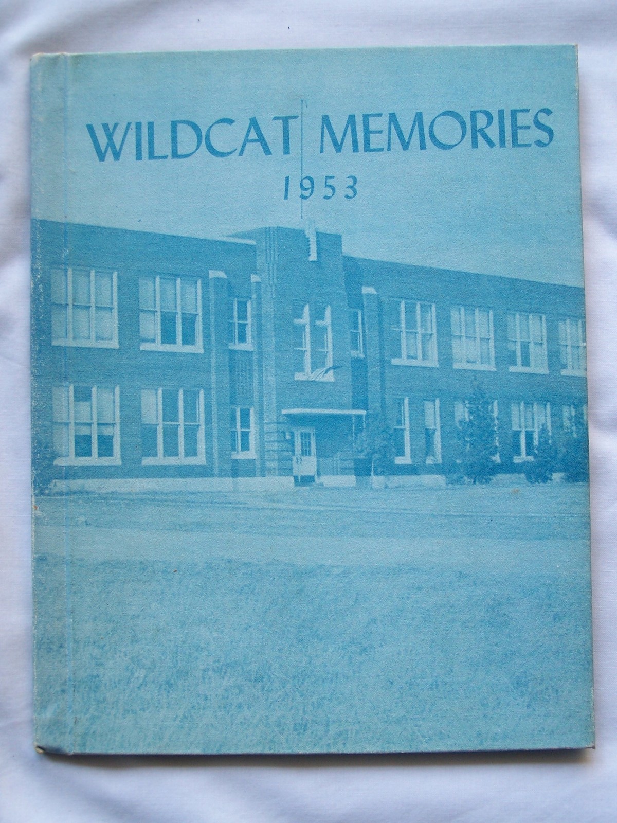 1953 WEIDMAN HIGH SCHOOL YEARBOOK WEIDMAN, MICHIGAN WILDCAT MEMORIES