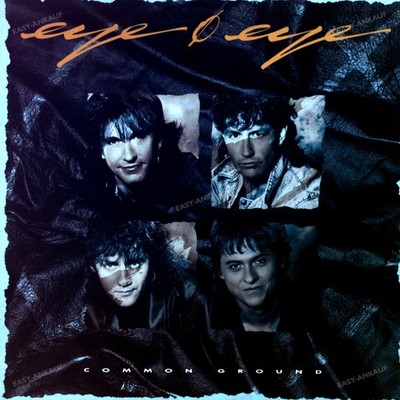 Eye Eye - Common Ground LP (VG+/VG+) '