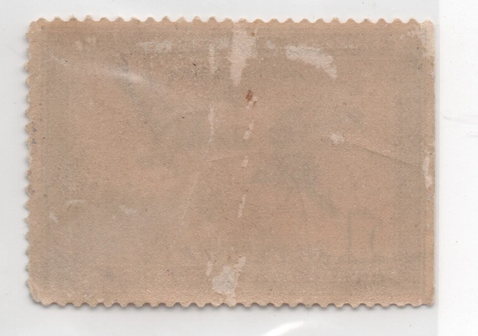 US Dept of Agriculture 1938 One Dollar Migratory Bird Hunting Stamp #RW5 Unused - Image 2 of 2