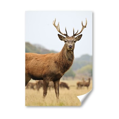A5 - Erwachsener Rothirsch Hirsch Tiermotiv 14,8 x 21 cm 280 g/m² #21110