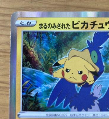 Pokémon Blast News on X: Personagem 'Coco' foi revelado carta promocional  de Pokémon!? As pessoas que forem assistir ao filme Pokémon Coco no Japão  ganharão esta carta promocional  / X