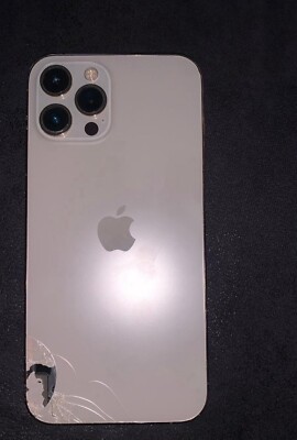 Apple iPhone 12 Pro Max - 128GB - Silber (Ohne Simlock) (Dual-SIM)