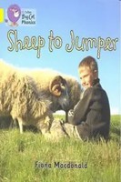 Fiona Macdonald | Sheep To Jumper | Taschenbuch | Englisch (2013)