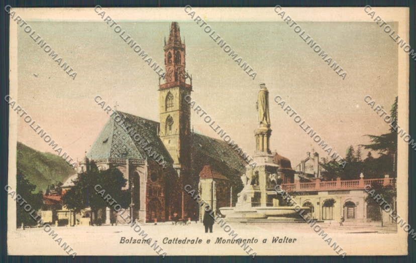 Bolzano Città cartolina ZT8738