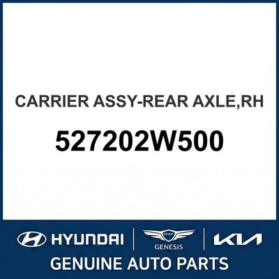 2013-2019 Hyundai Santa Fe Träger Montage-Hinterachse OEM Neu 527202W500