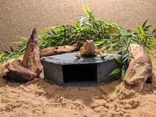 Natural Slate Laser Engraved Corner Cave Hide Aquarium Fish Vivarium Paludrium