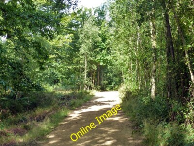 #ad Photo 6x4 Path Buchan Country Park Bewbush In the area known as Target H c2013 GBP 2.00