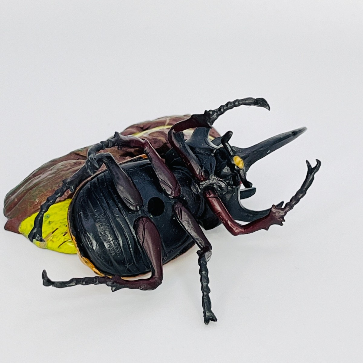 Five-Horned Beetle Tropical Rain Forest Rhinoceros Real Figure