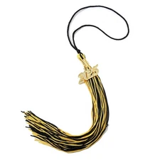 1PCS 2025 Graduation Tassel, Cap Decoration, 2025 Gold Charm, Black, Gold