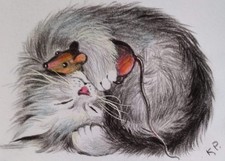 ACEO cat watercolor pencil by the author original 3,5"х2,5" 9x6cm not print