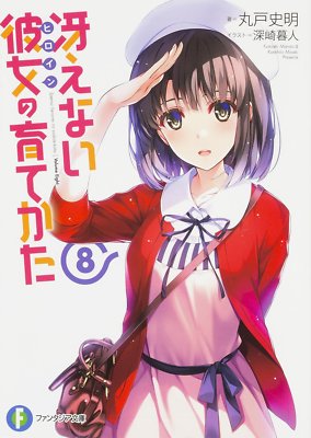 Saekano: How to Raise a Boring Girlfriend 8 novel book Japan 