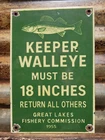VINTAGE GREAT LAKES PORCELAIN SIGN OLD 1955 FISHERY COMMISSION WALLEYE FISHING