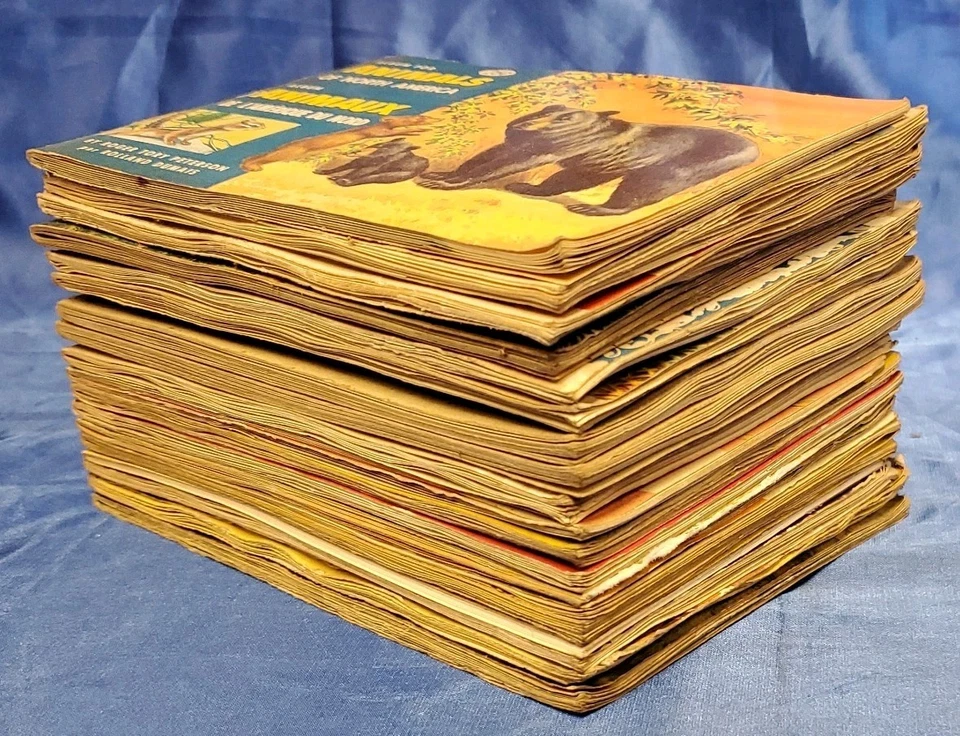 Wills Cigarette Card Albums Wild Flowers, animals,birds.... - Image 3 of 4