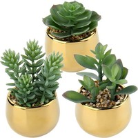 3 PCS Kunstpflanze Sukkulenten KüNstlich FrüHlingsdeko Zimmerpflanzen K