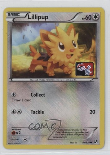 Crosshatch Holo - Lillipup Pokémon Black & White Pokemon League Promo #81