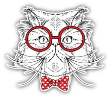 Fashion Cat Face Sketch Car Bumper Sticker Decal - ''SIZES''