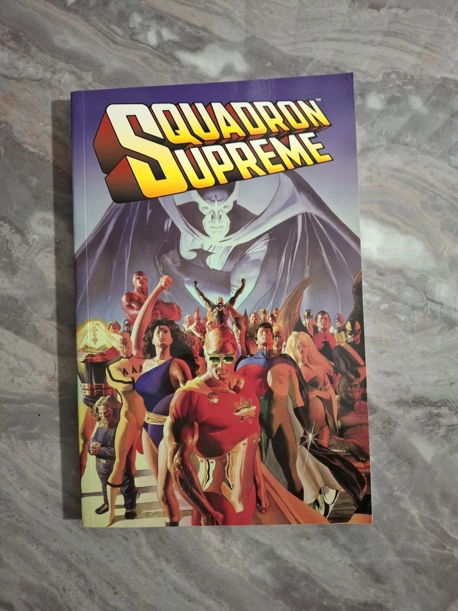 SQUADRON SUPREME 全3巻セット 英語版 完結 Squadron Supreme Comics, Graphic Graphic Novels for sale | eBay