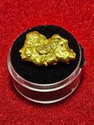 California Natural Gold Nugget  12.2  Grams in a Gem jar w/lid — photo 2