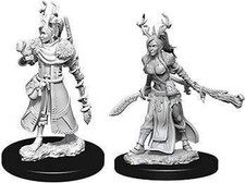 WizKids WZK-73701 Dungeons  Dragons: Nolzur's Marvelous Unpainted Miniatures