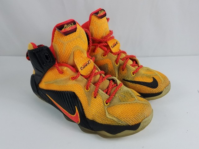 lebron 12 witness