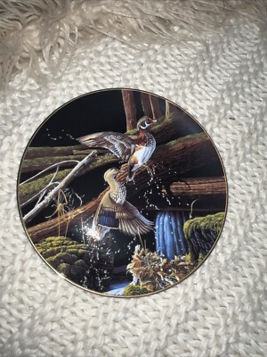 1992 EDWIN M. KNOWLES FINE PORCELAIN PLATE ''SKYWARD'' BY MICHAEL BUDDEN