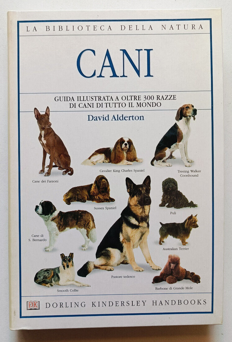 Foto 10 di 117