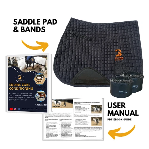 Equine Band Core Conditioning System by Equine Balance Bands - Image 2 of 4