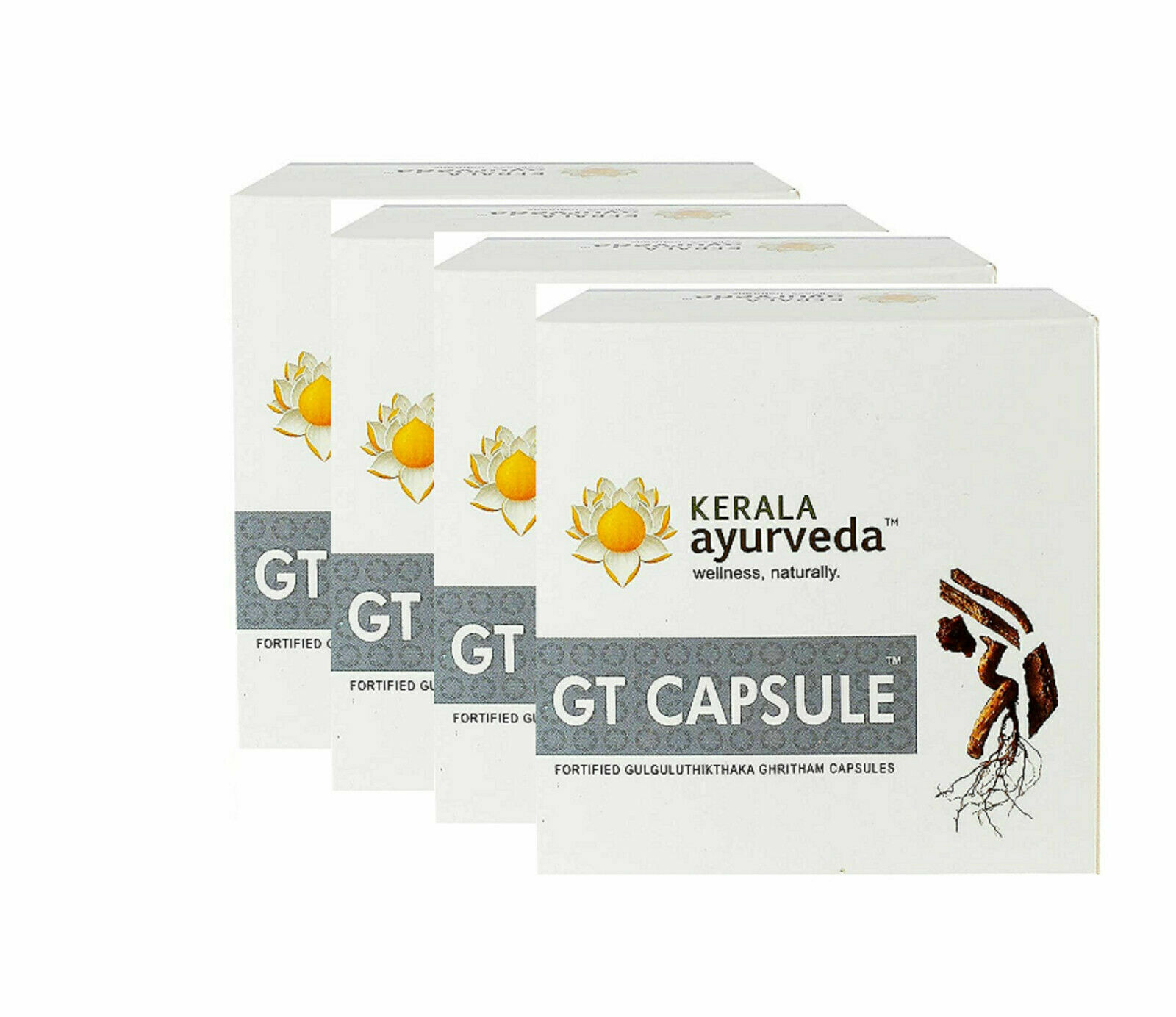 Kerala Ayurveda Wellness Naturally GT Ghritham 100 Capsules Pack of 4