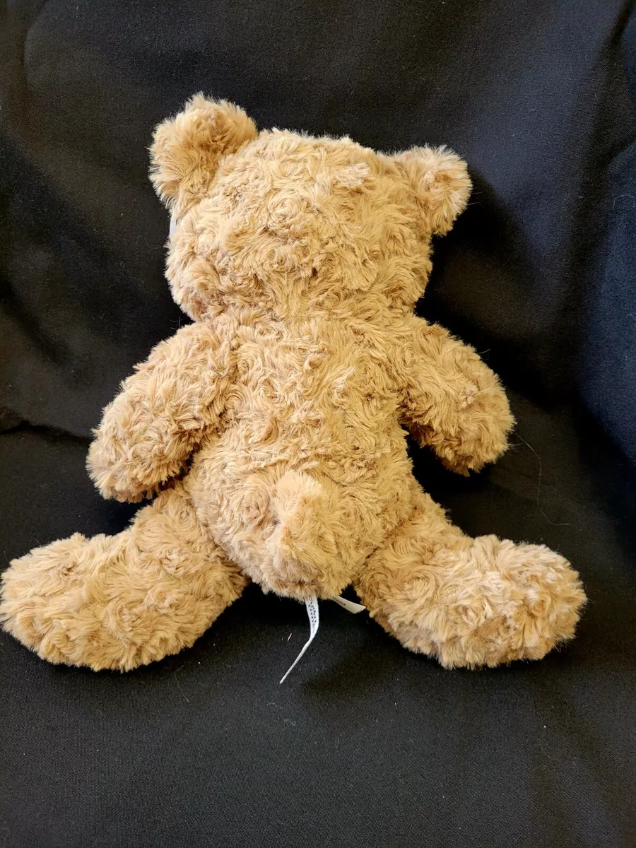 Cuddle time store teddy bears