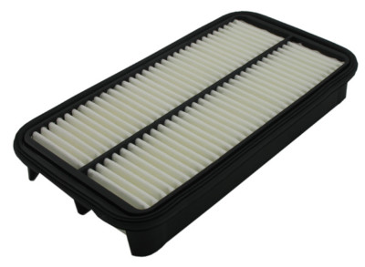Air Filter Pentius PAB6395