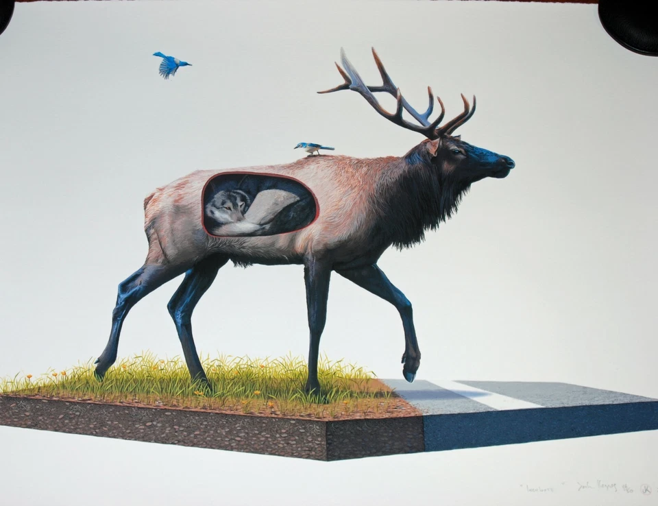 Pôster Josh Keyes arte impressão incubada 2010 vida selvagem veado alce P/# 50 lobo - Imagem 4 de 4