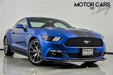 2015 Ford Mustang GT 50 Years Limited Edition-RARE RARE RARE!