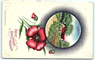 Postcard Birthday Postcard