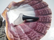 Sea Glass, Unique Black Tip and Clear Piece