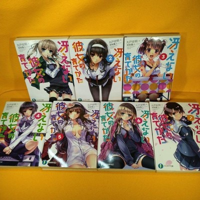 Novel Saekano How To Raise A Boring Girlfriend Vol.1- 13 Complete Set
