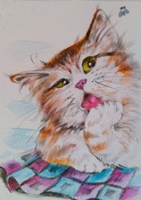 ACEO cat watercolor pencil by the author original 3,5