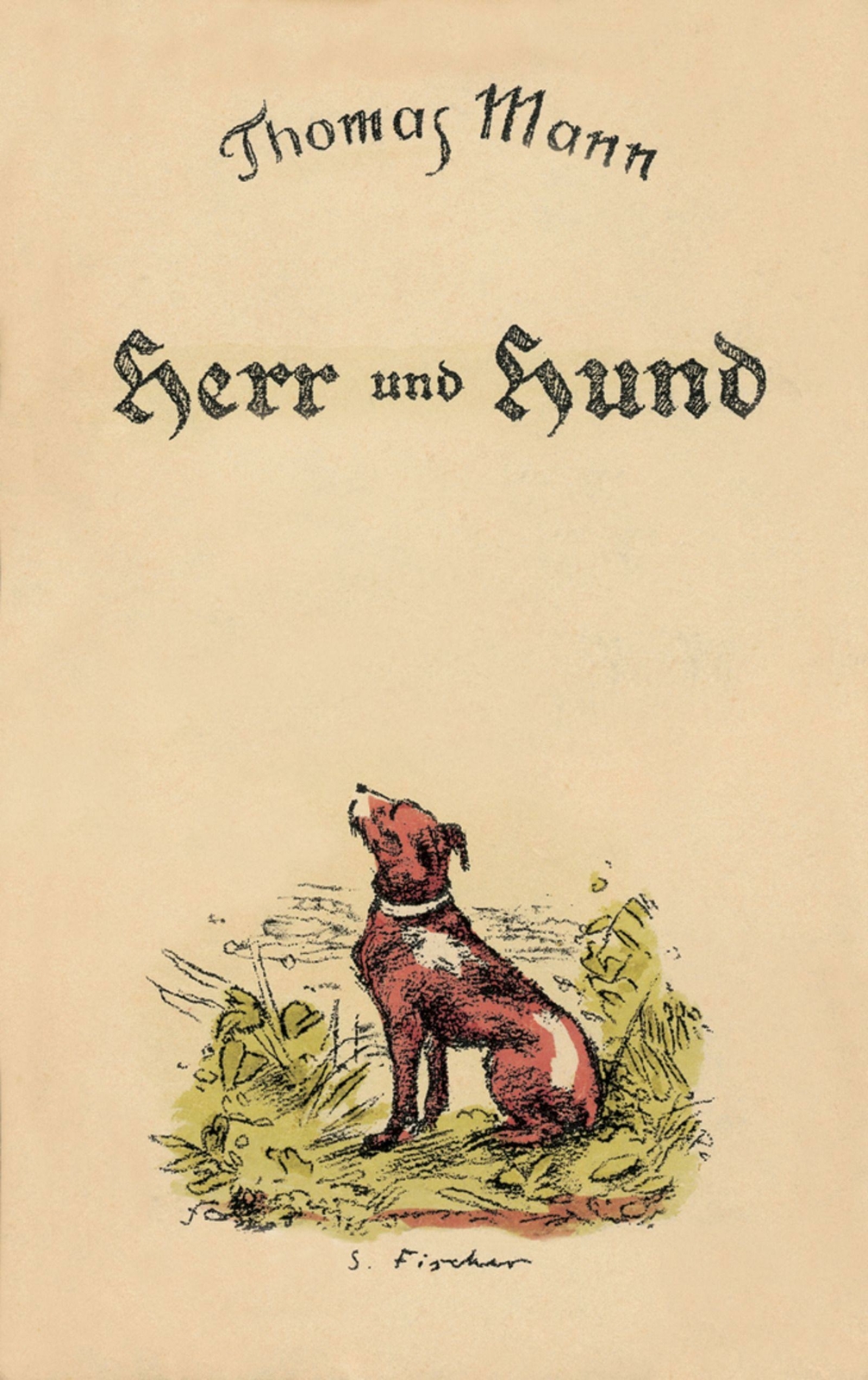 Herr Und Hund | Buch | 9783103481518