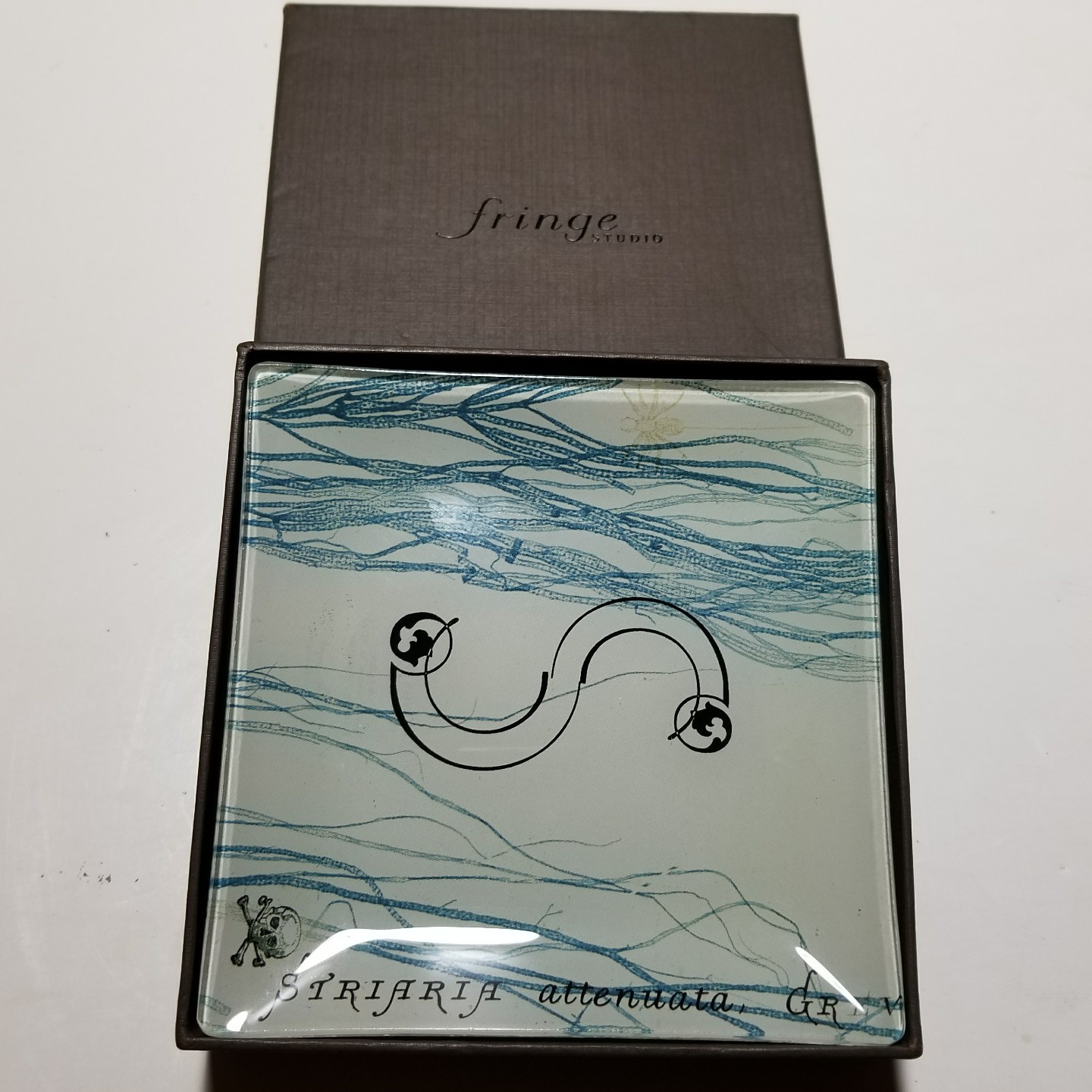 Fringe Studio Glass Trinket Tray Striaria attenuata MONOGRAM S eBay