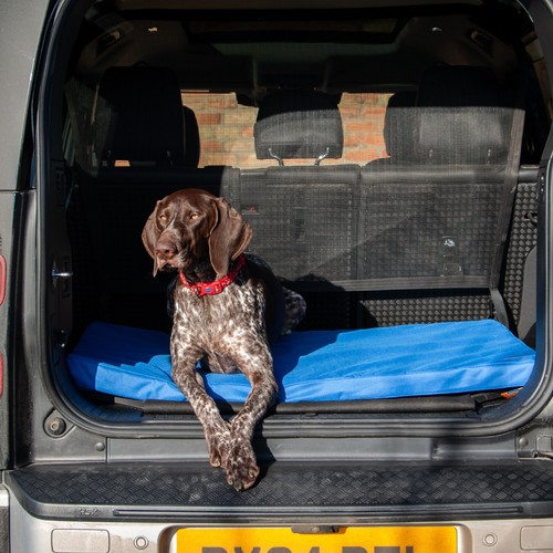 Ancol Sleepy Paws Waterproof Flat Pad 61cm x 46cm in Blue, Size Small 555140 - Picture 4 of 6