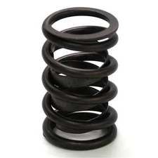 Renegade Valve Spring Set 99503-16; Single, 203 lbs at 1.250 in., 1.437 in. OD