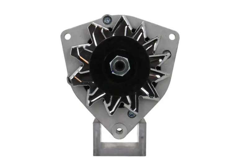Alternatore 215.025.055.090 BV PSH - Immagine 2