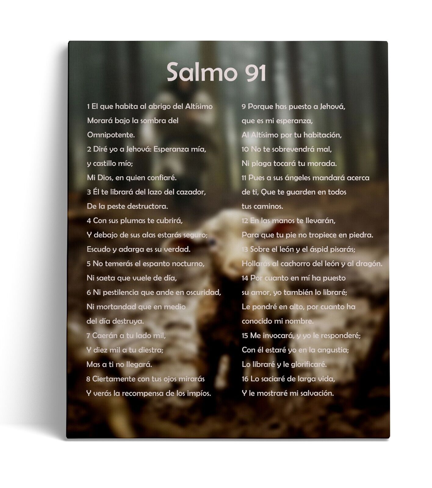 Salmo 91:1-2 - Bíblia